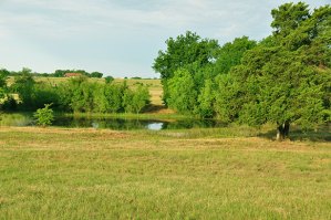 104_pond