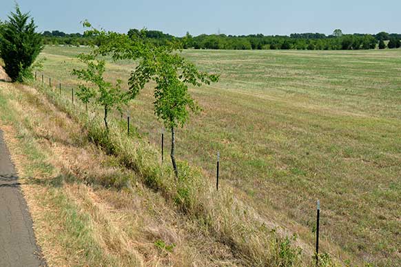 163.5 Acres – Meadows w/Pond – Lamar County – 100% Minerals – SW of Paris – $295,000