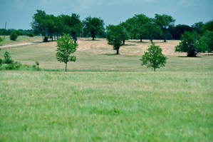 70_3-acres-hilltop-meadow-lamar-county-paris-6